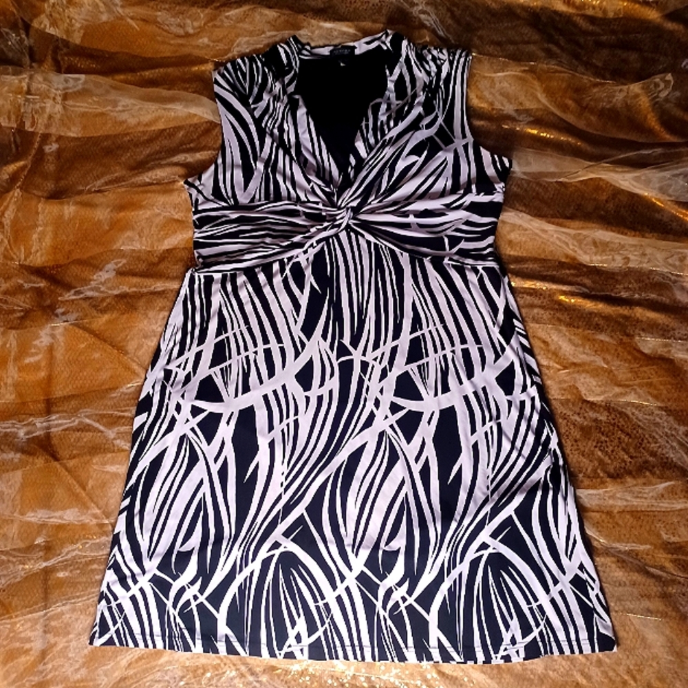 20W Spense Woman dress. Graphic black/white design. Ruched empire waistline.